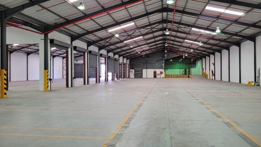 To Let commercial Property for Rent in Airport Industria Western Cape